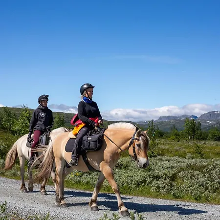 Family-friendly With Stunning Mountain Views! * Beitostolen