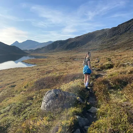 Family-friendly With Stunning Mountain Views! Daire Beitostolen